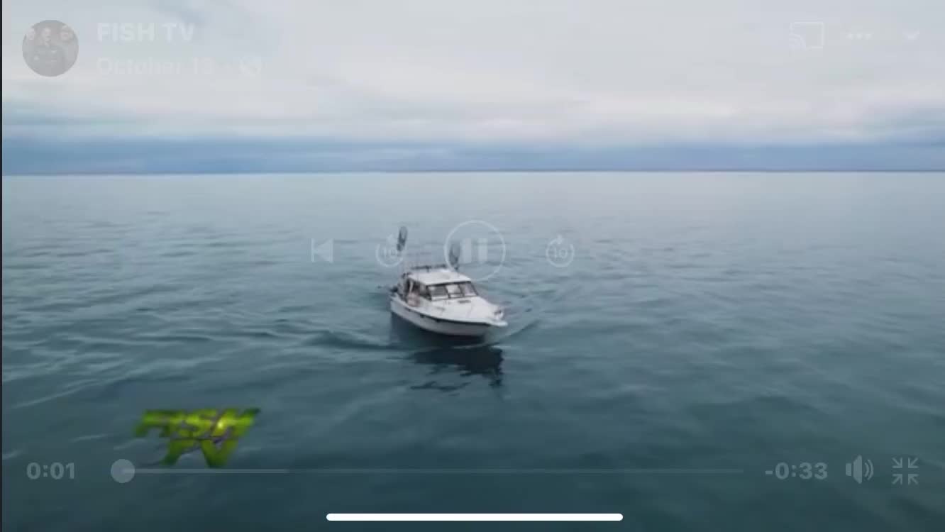 @sportytoofishingcharters