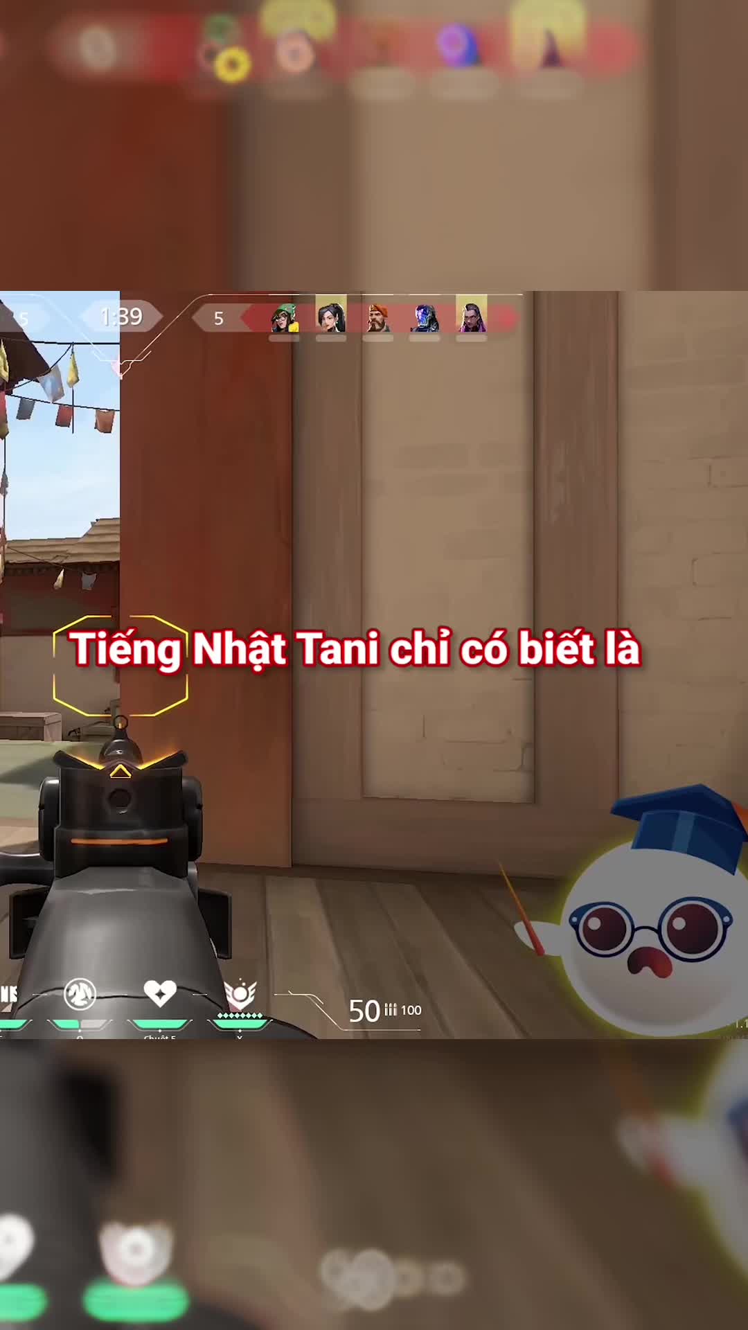 @Tani Kami 🐹