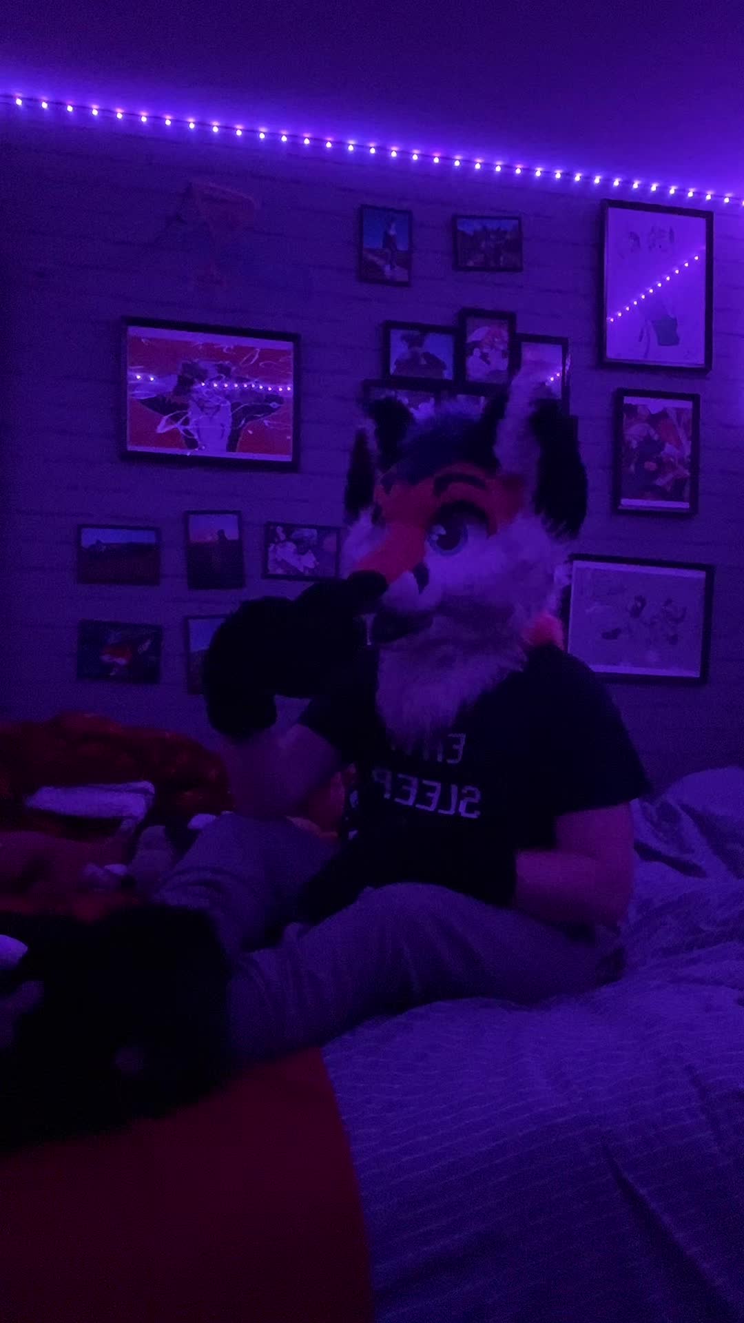 @StripeDaFox