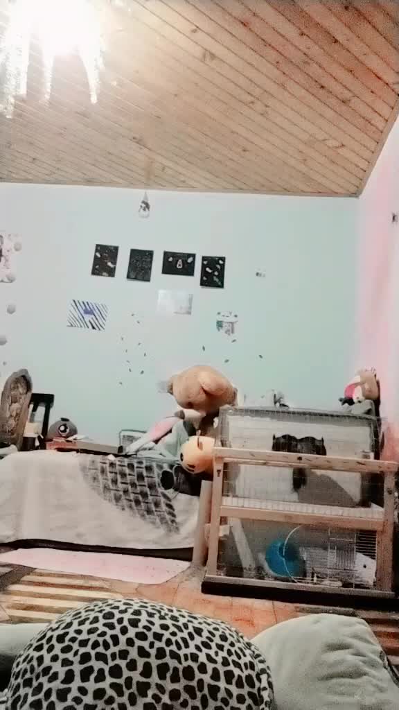 @❤️