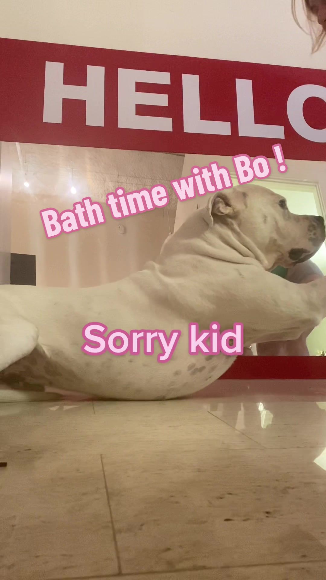 @bo