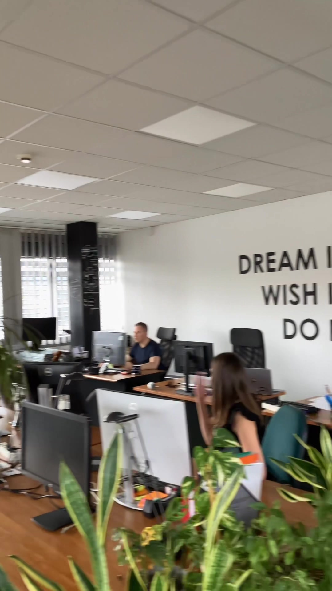 @DSS Consulting