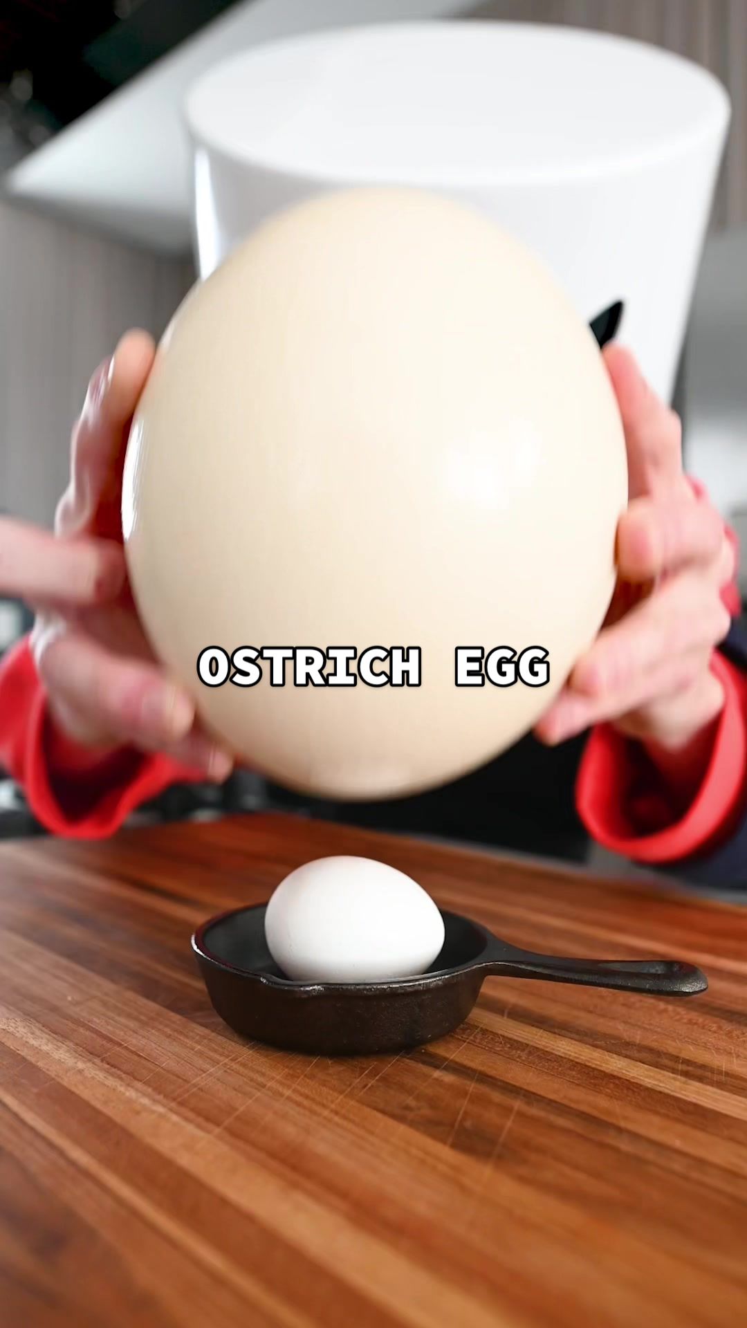 @Cooking With Marshmello