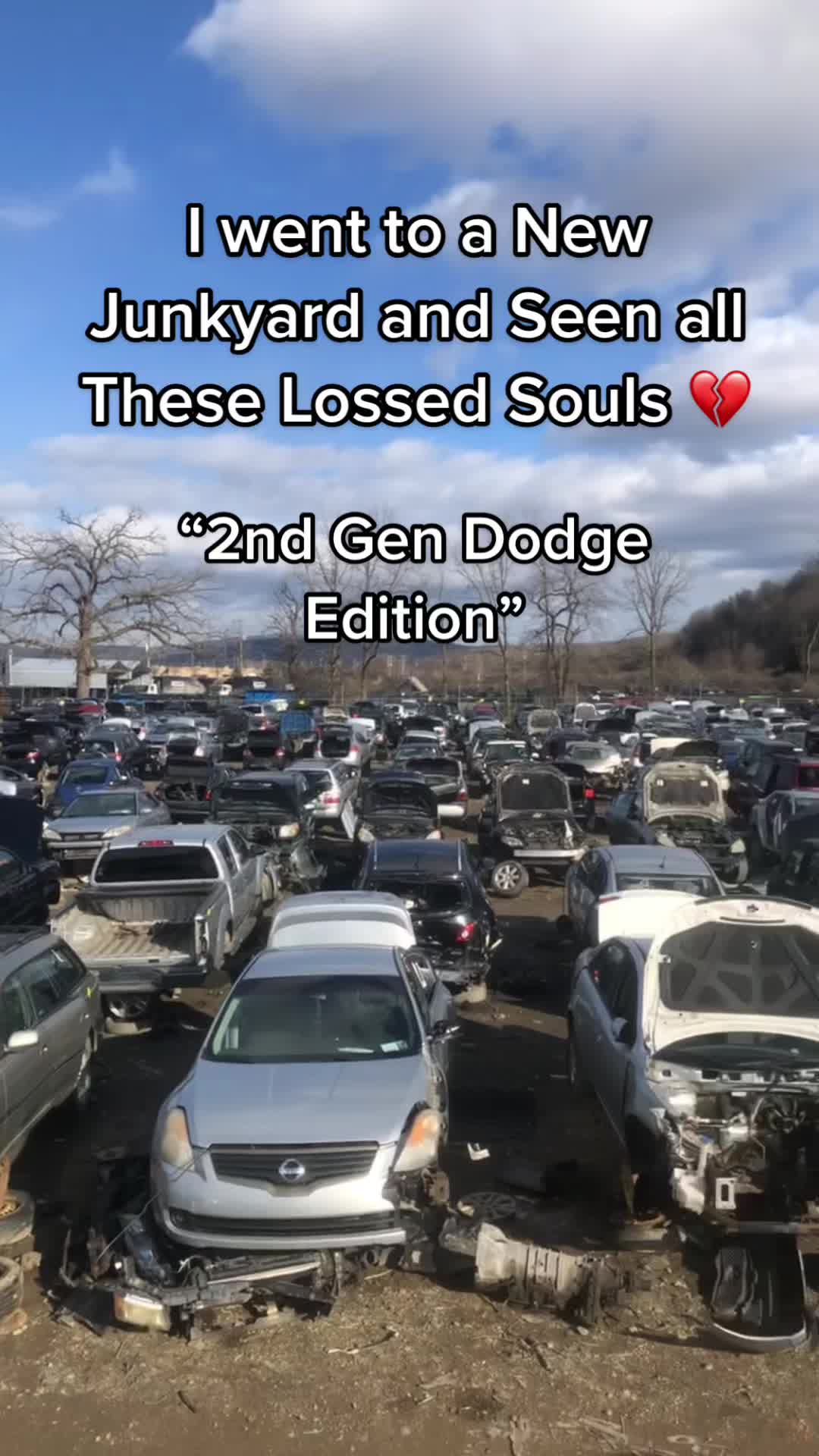 @Jocelyn_the_xj