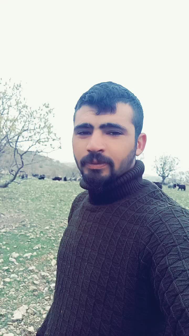 @hebun zınar