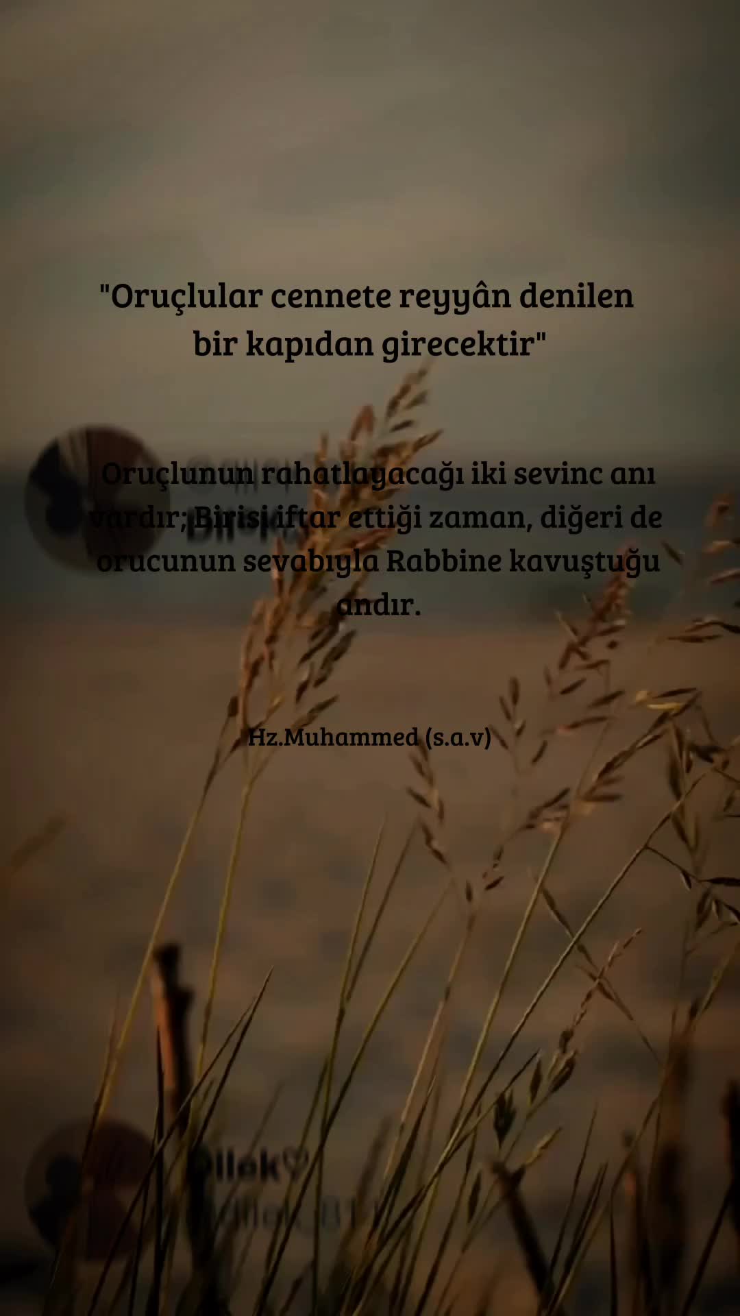 @𝓓𝓲𝓵𝓮𝓴 ♡