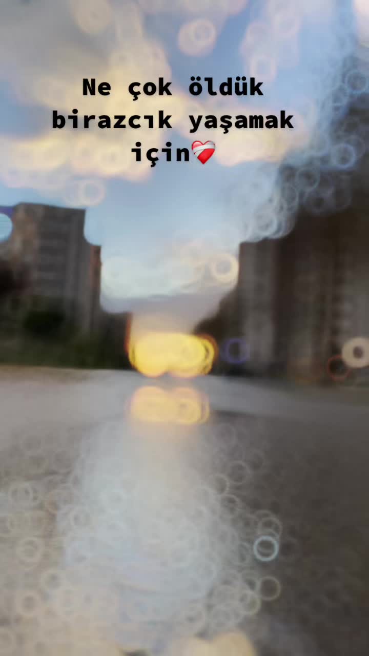 @timur.929