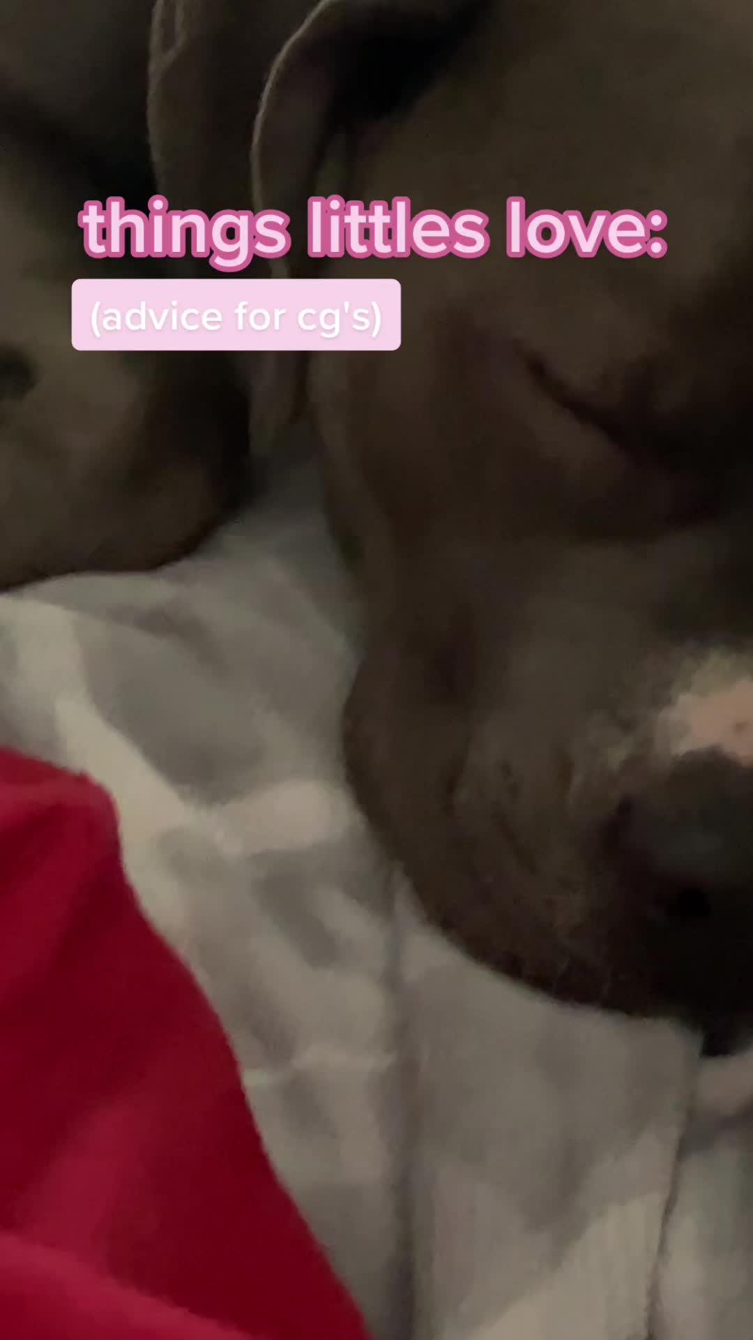 @🐾🫧