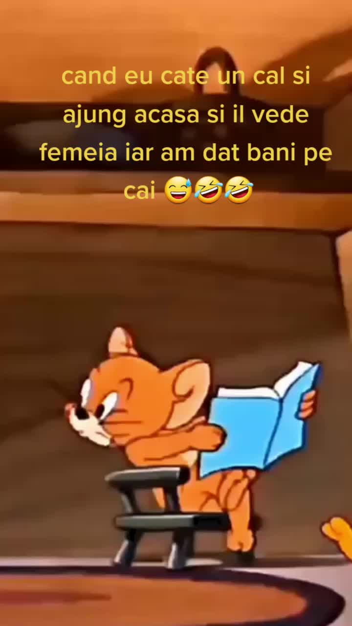 @regele nr 1