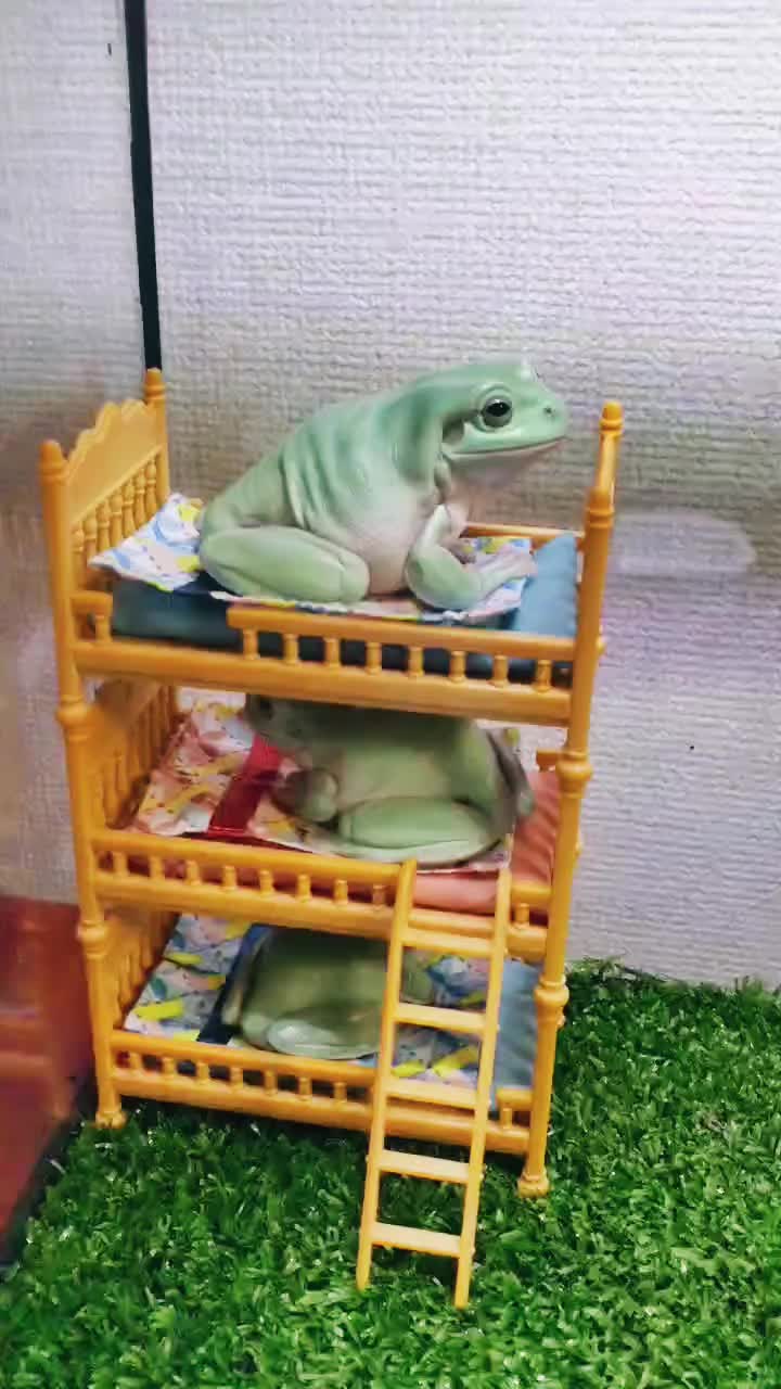 @toadhearted