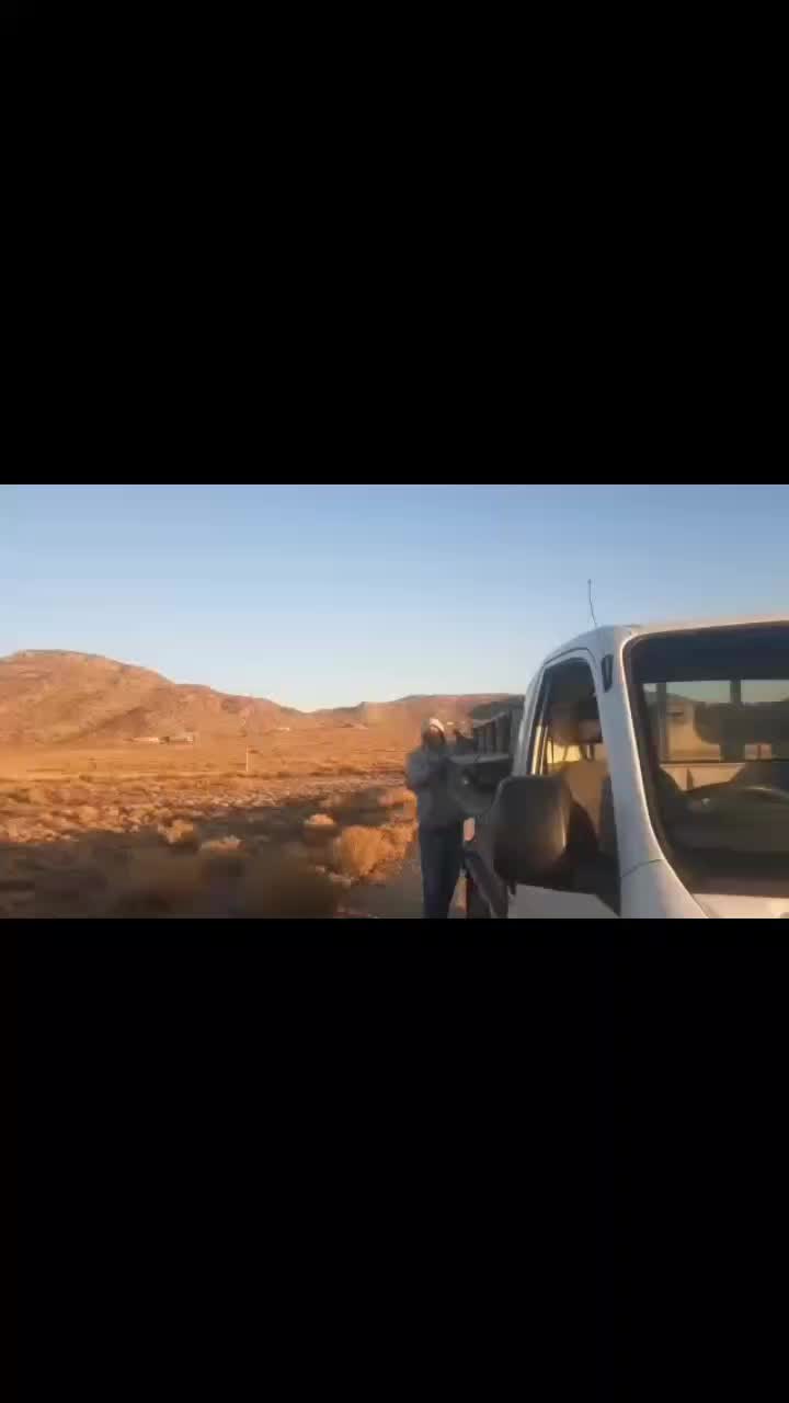 @Dmck