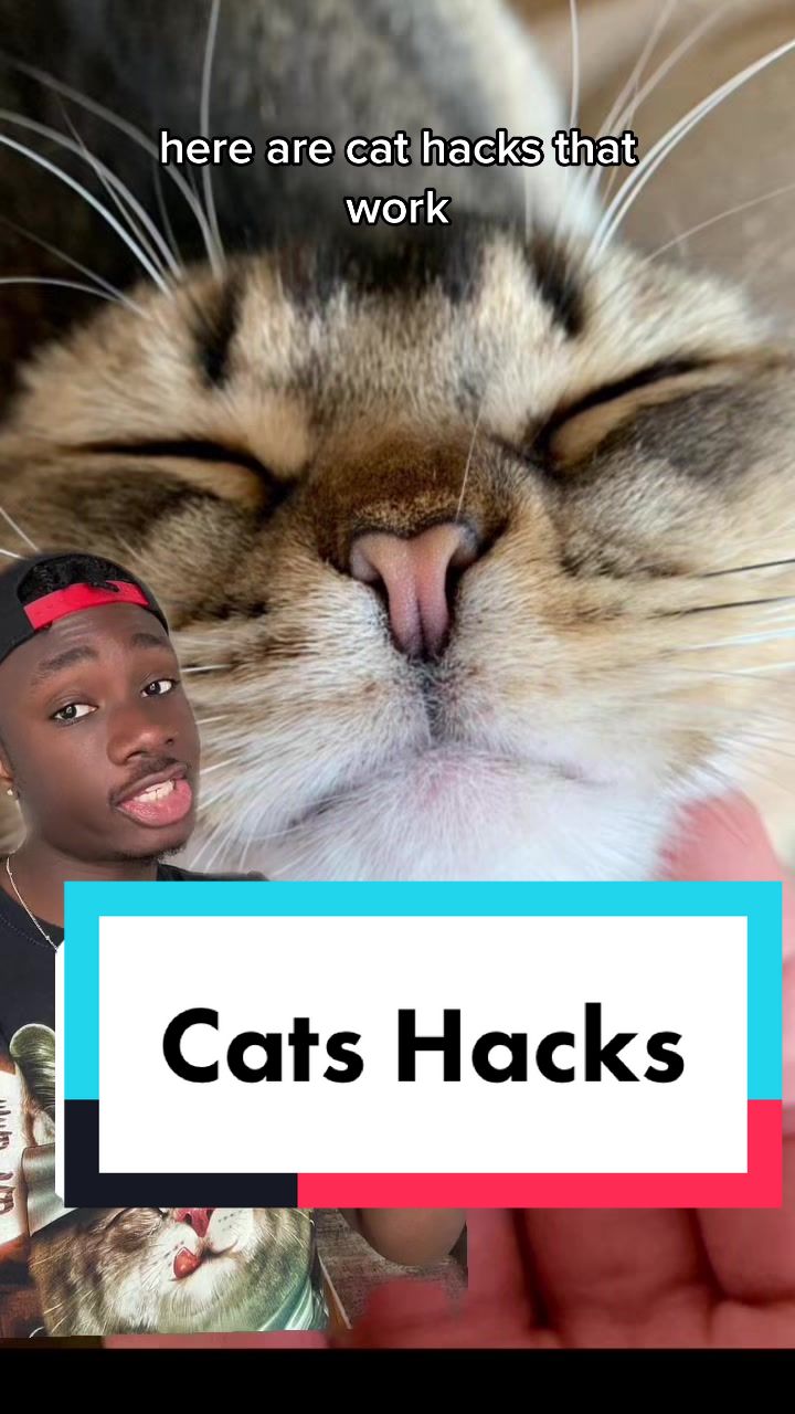 @mndiaye_97