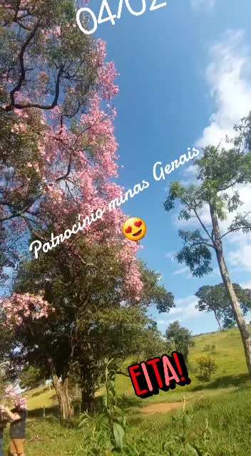 @aparecidamachado303