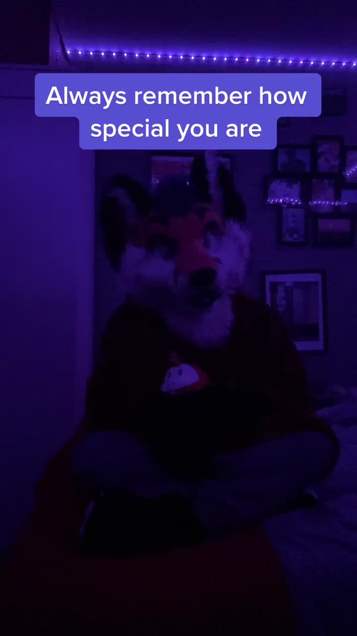 @StripeDaFox
