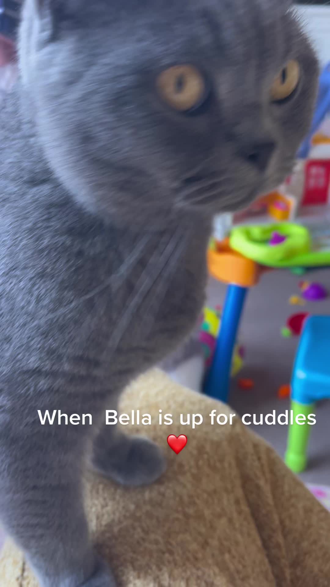 @Elena