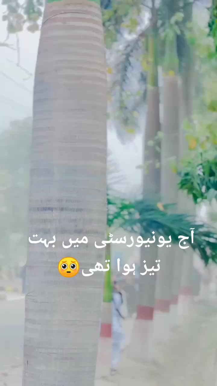 @قاسم رانجھا صلابت کا 🦅