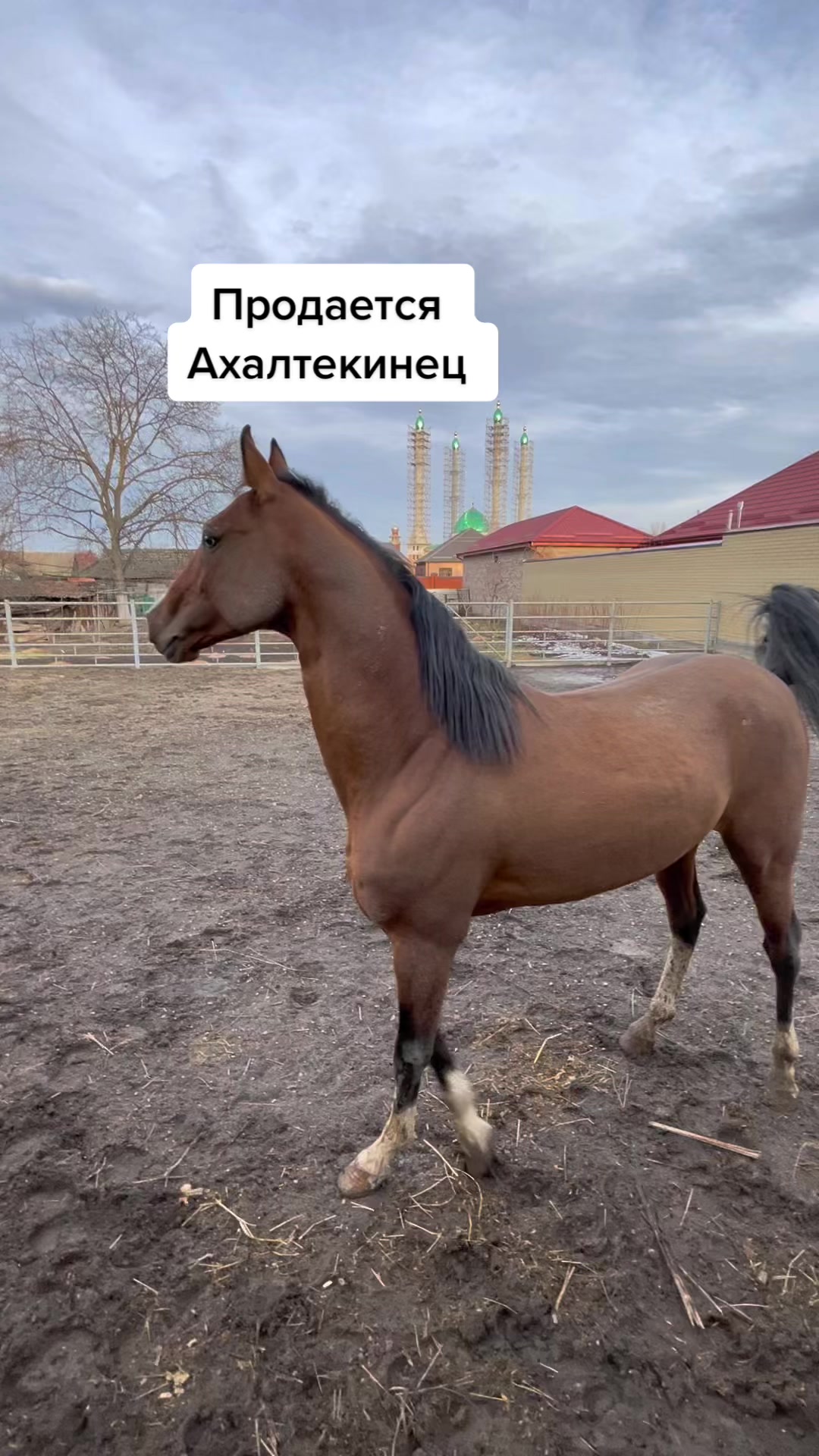 @Ильяс