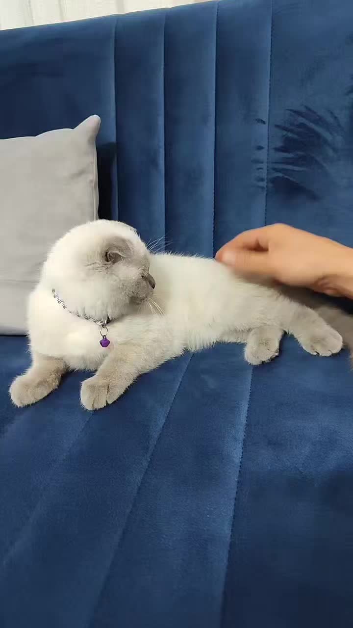 @💙S&Uuml;TLA&Ccedil; BEY💙