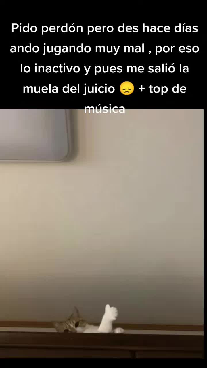 @moonztyle