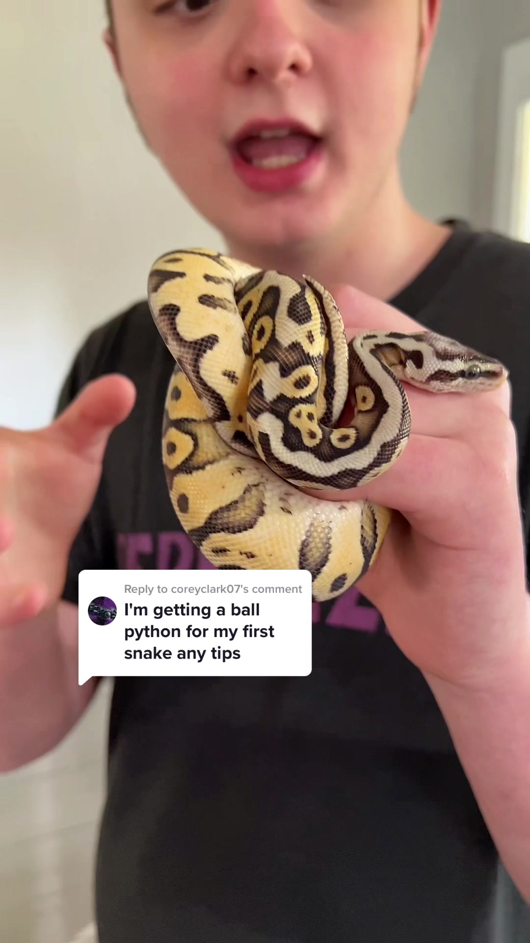 @Jax&rsquo;s Reptiles!