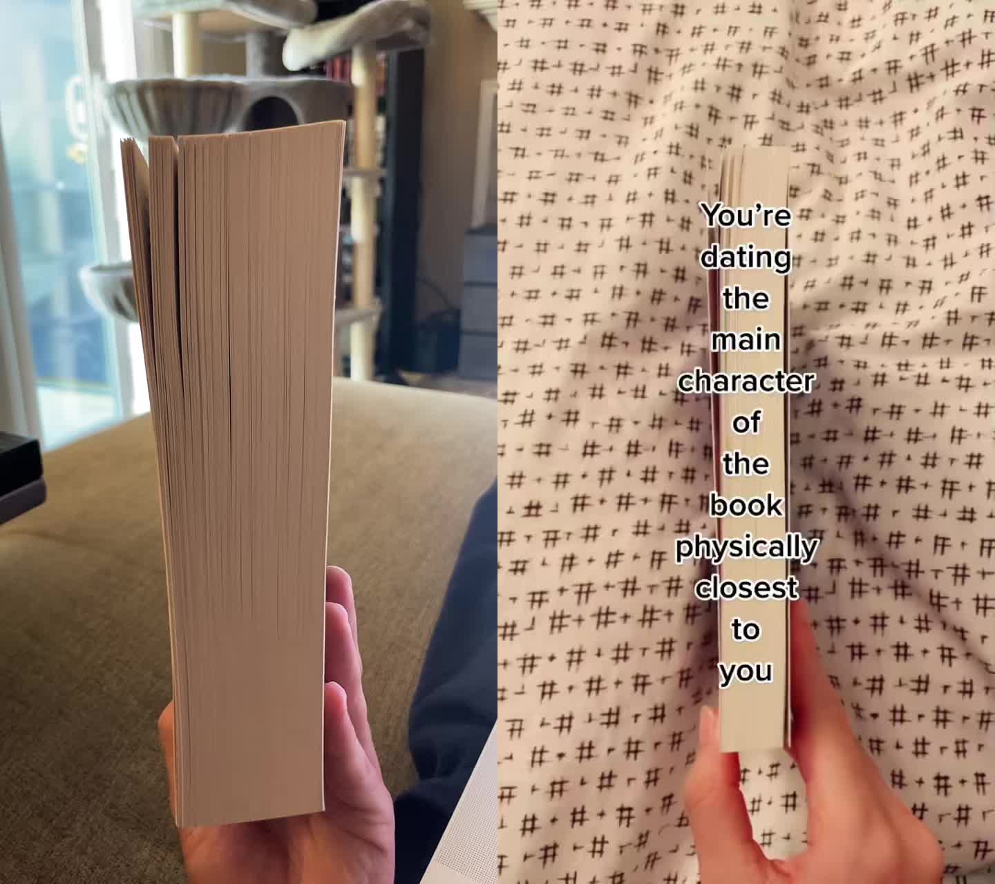 @Hayden.Reads