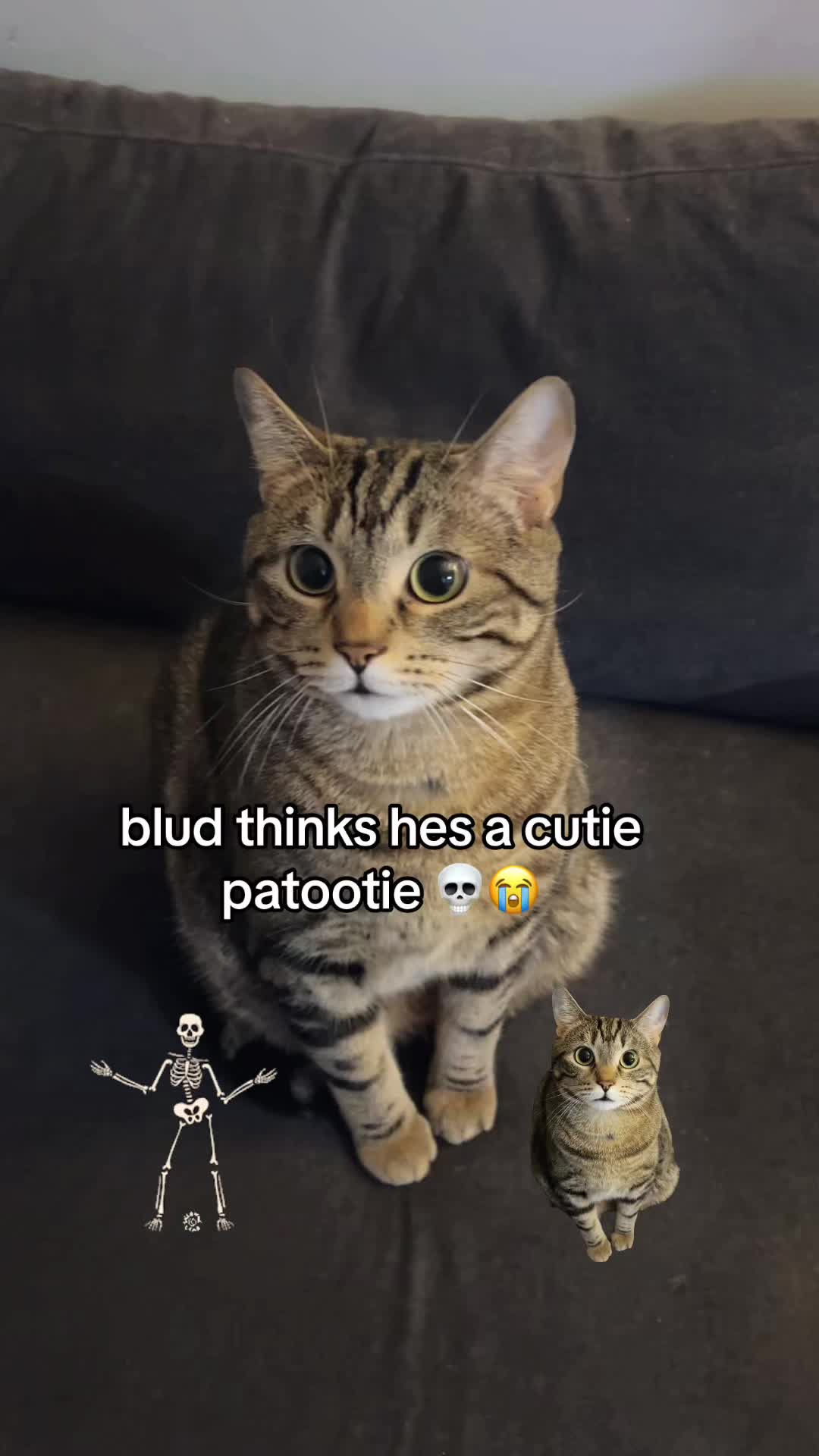 @Blawg