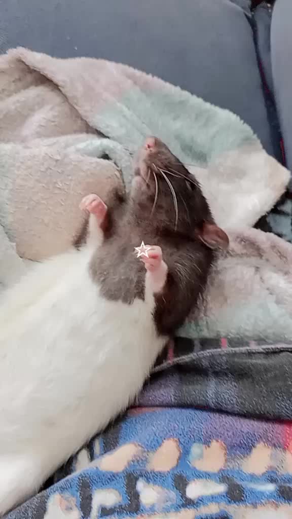 @☆!!🎀аппендикс🎀!!☆