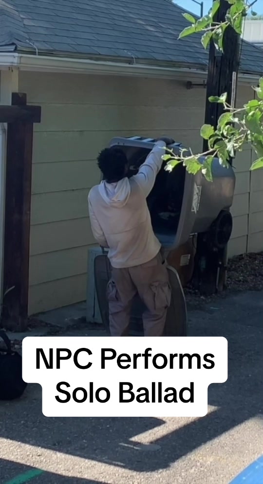 @npcs_of_earth