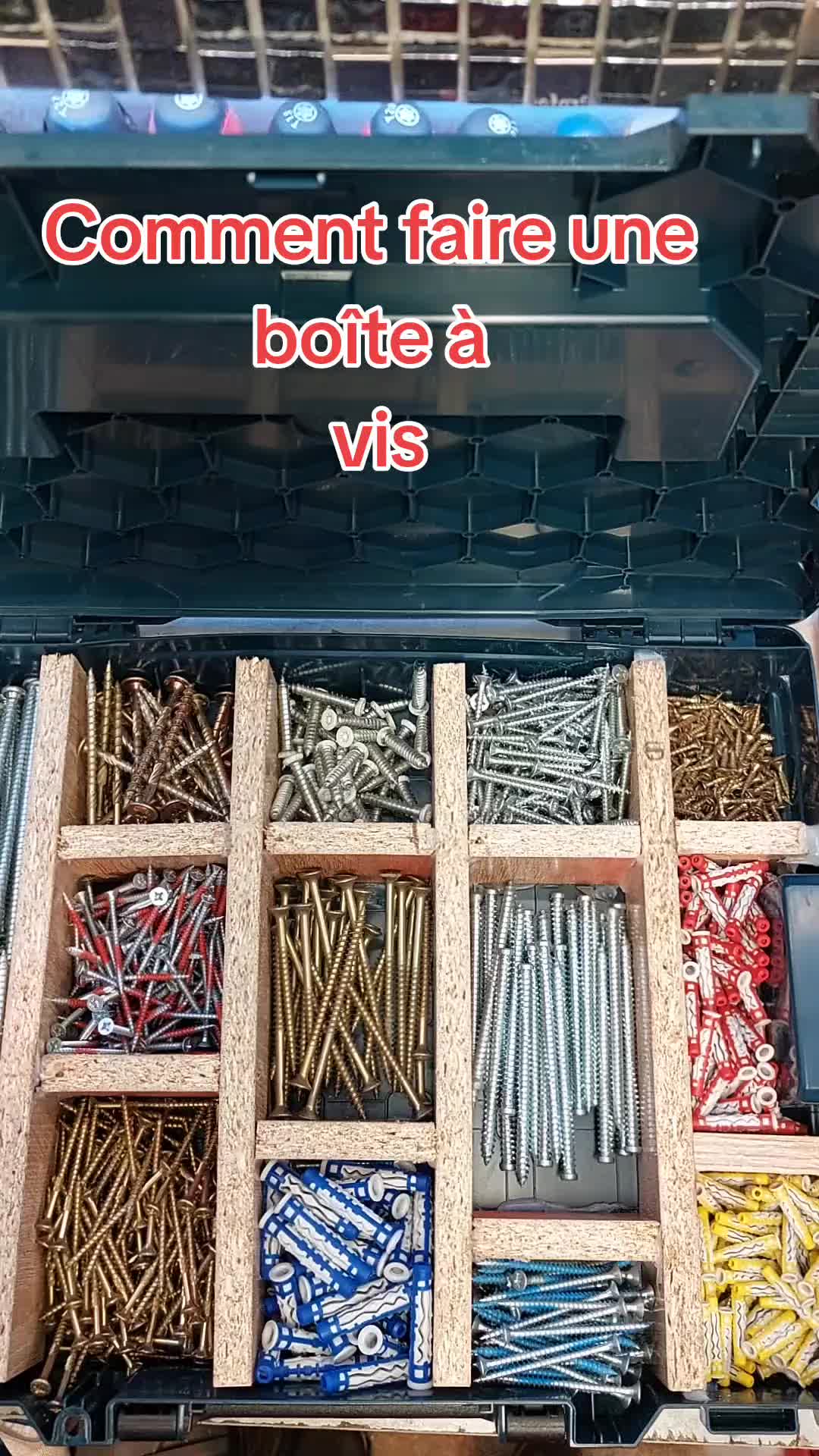 @fifiby