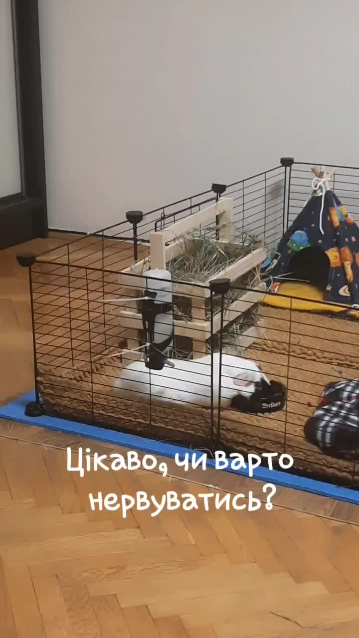@МАТЬ ДРАКОНІВ🤣