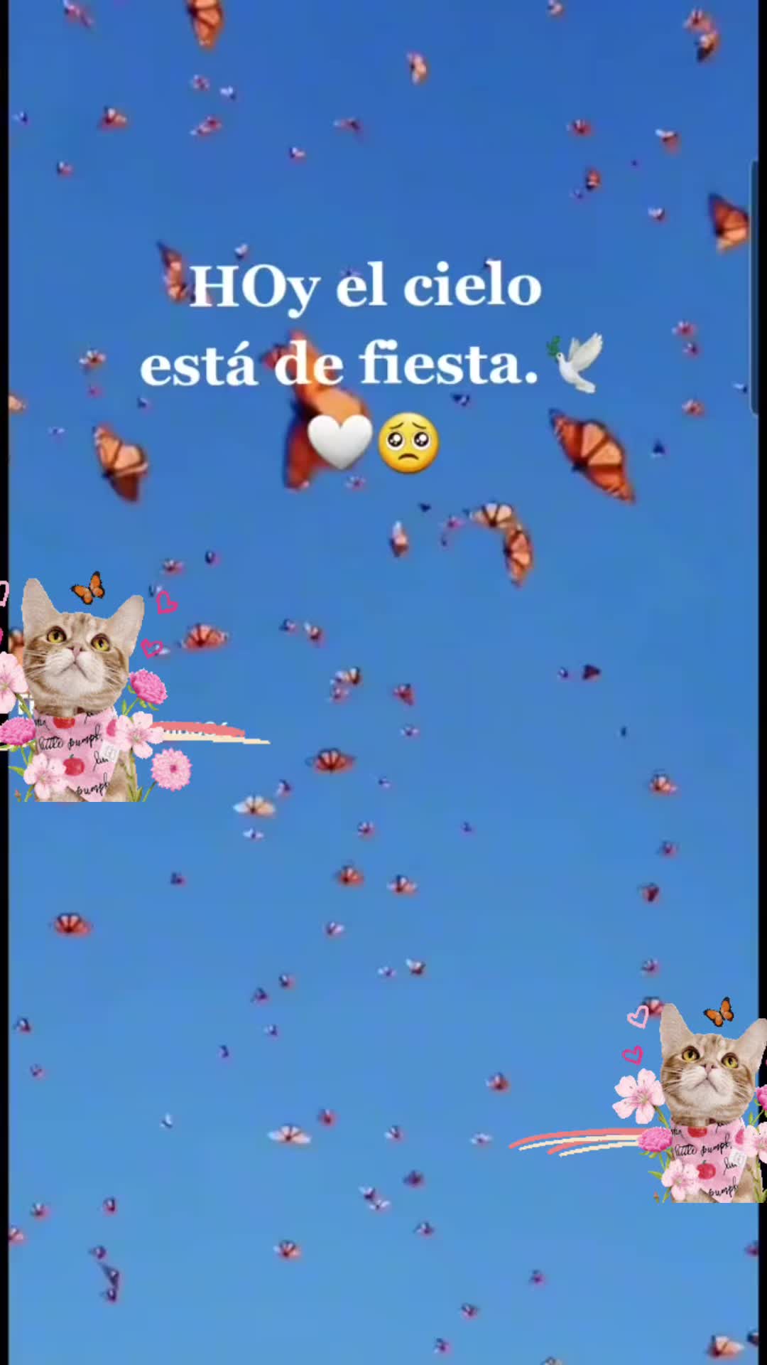 @Benny Trujillo