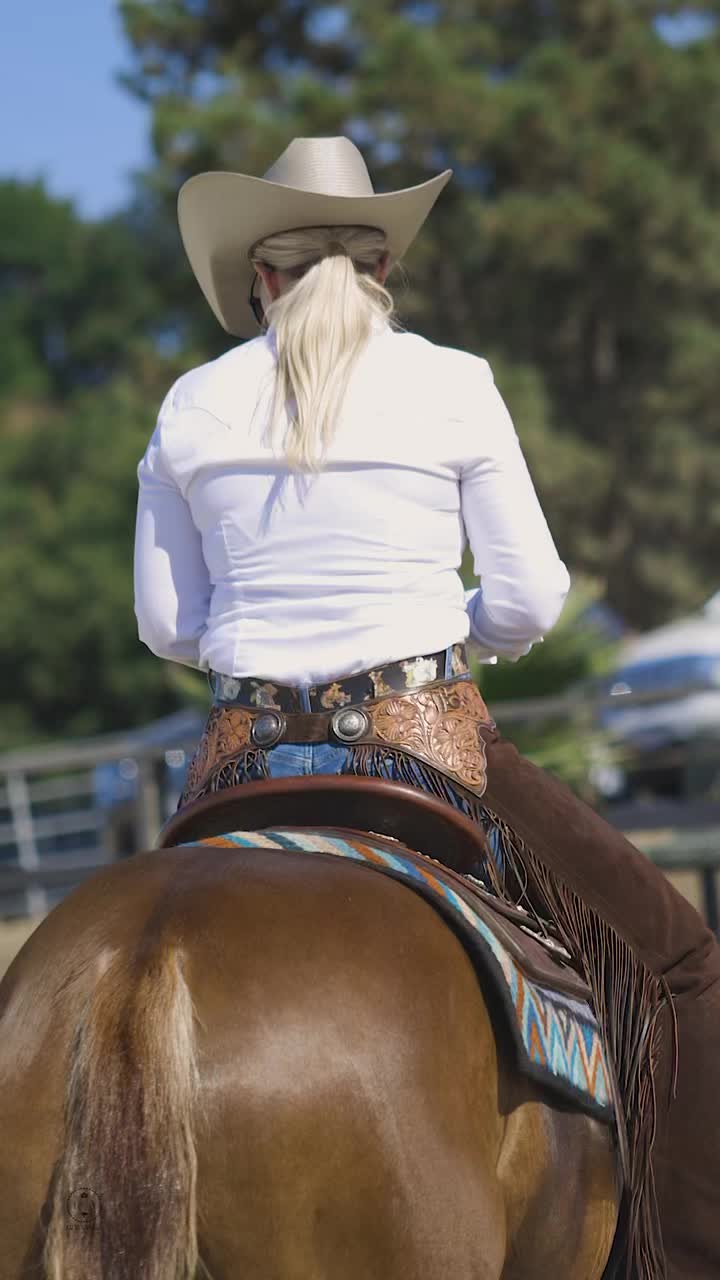 @Larson Performance Horses
