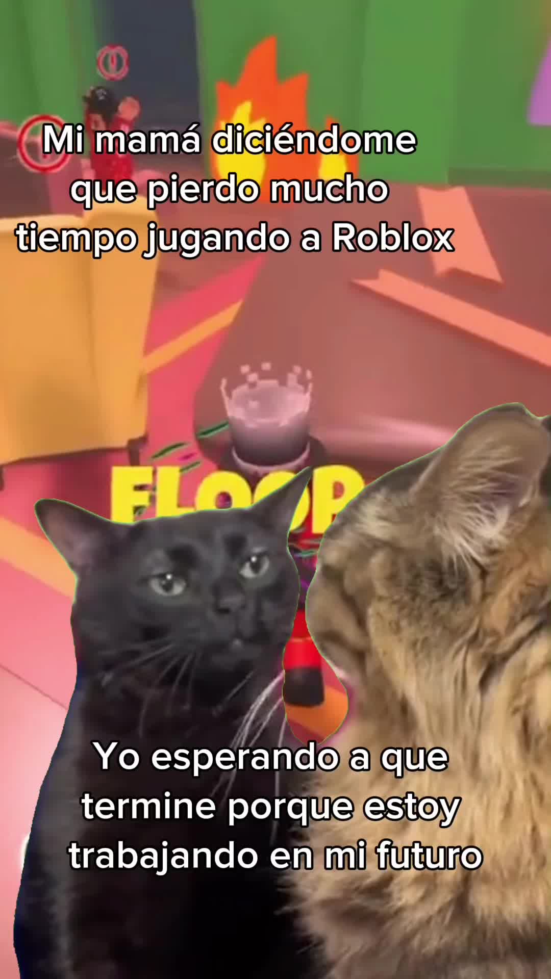@bloxters.school
