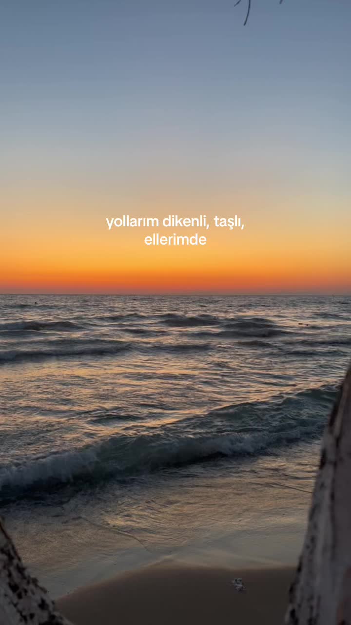 @🌻
