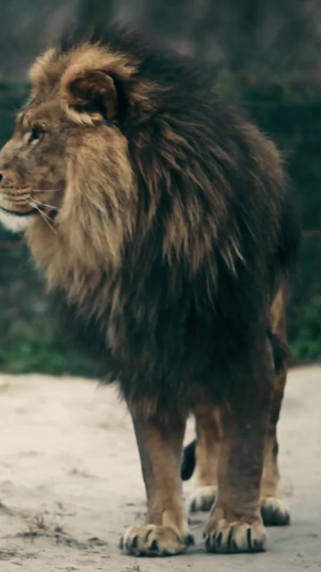 @HerculeanMotivation