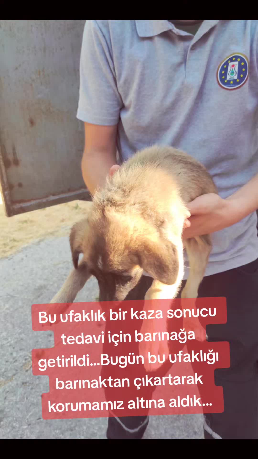 @Esma Er
