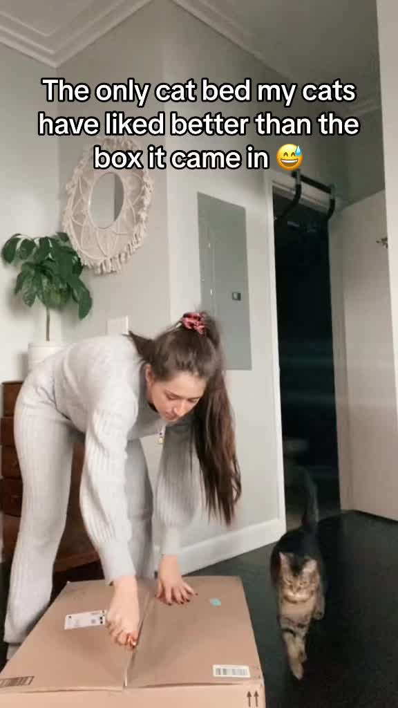 @onlydeal.ch