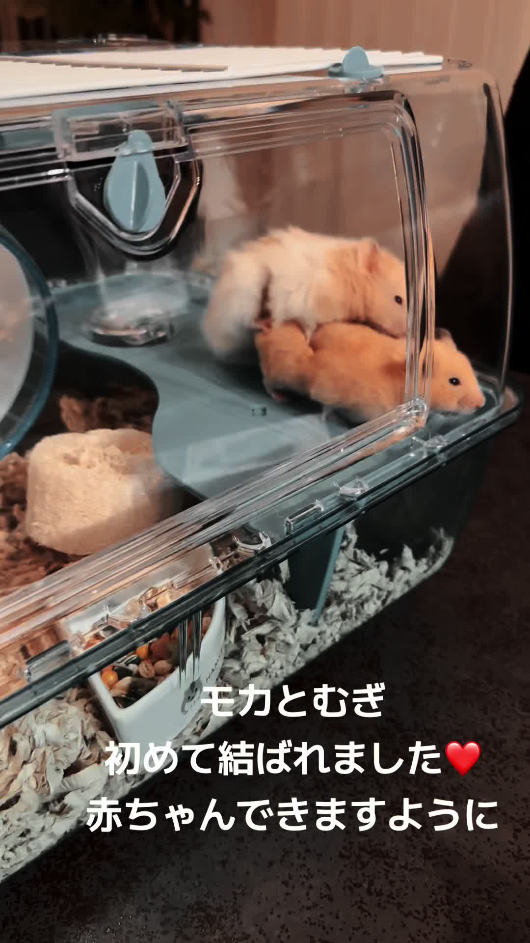 @のん&てん