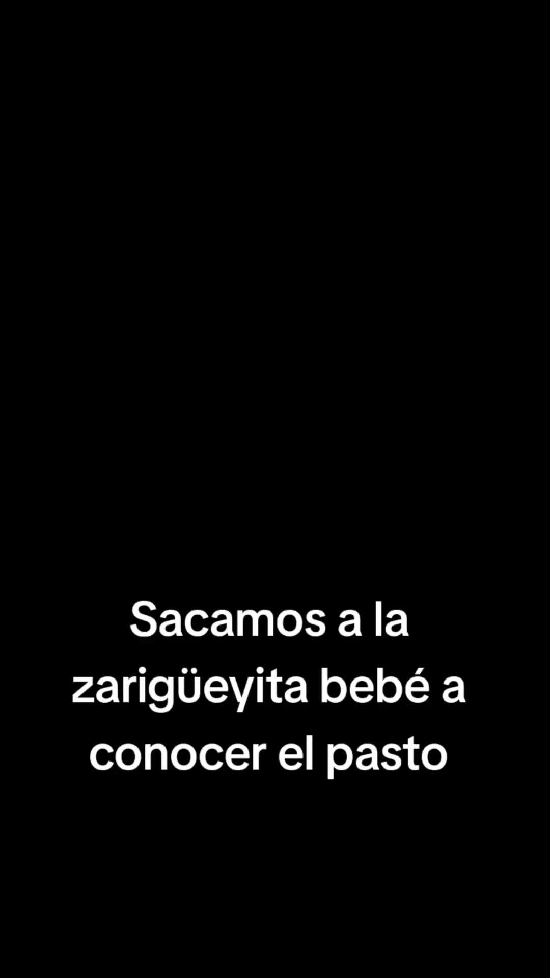 @Karla Caballero Locutora