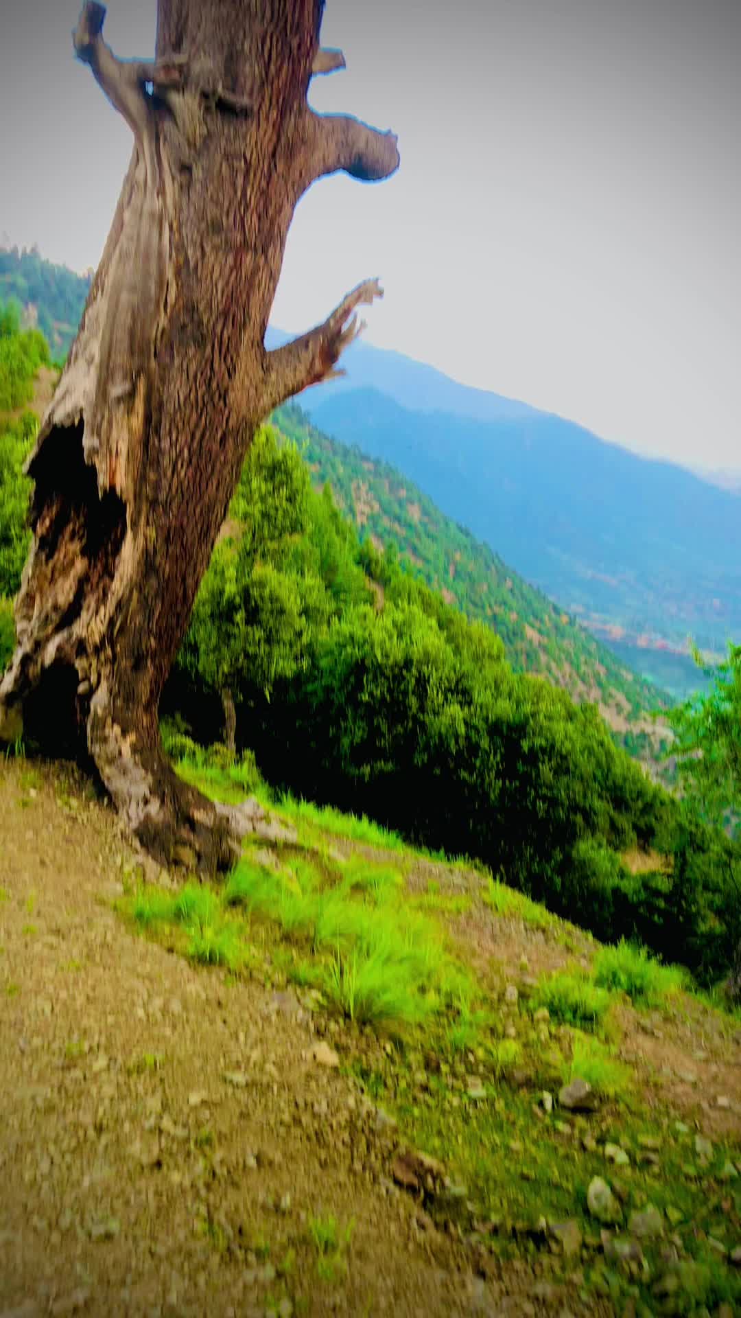 @(っ◔◡◔)っ &hearts; KHATTAK &hearts;