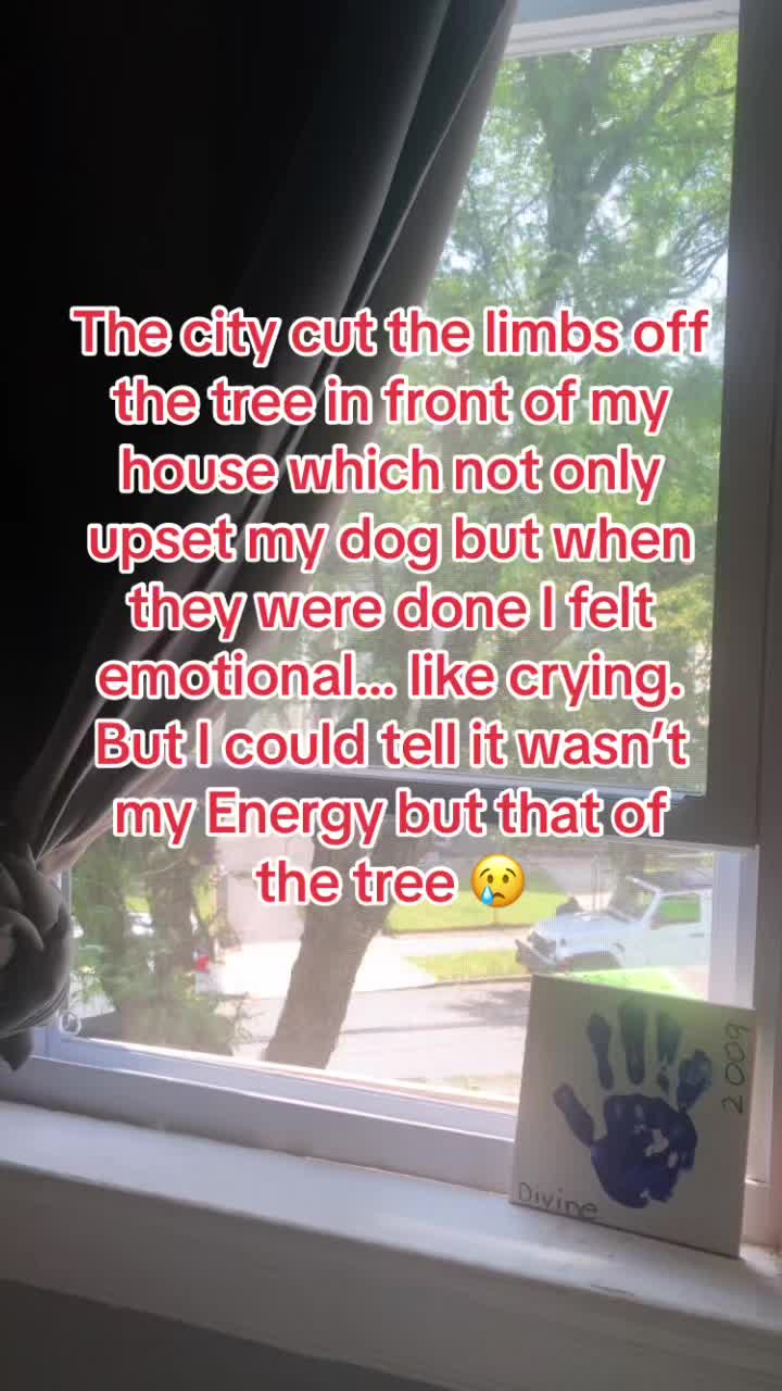 @TheChosenMomma