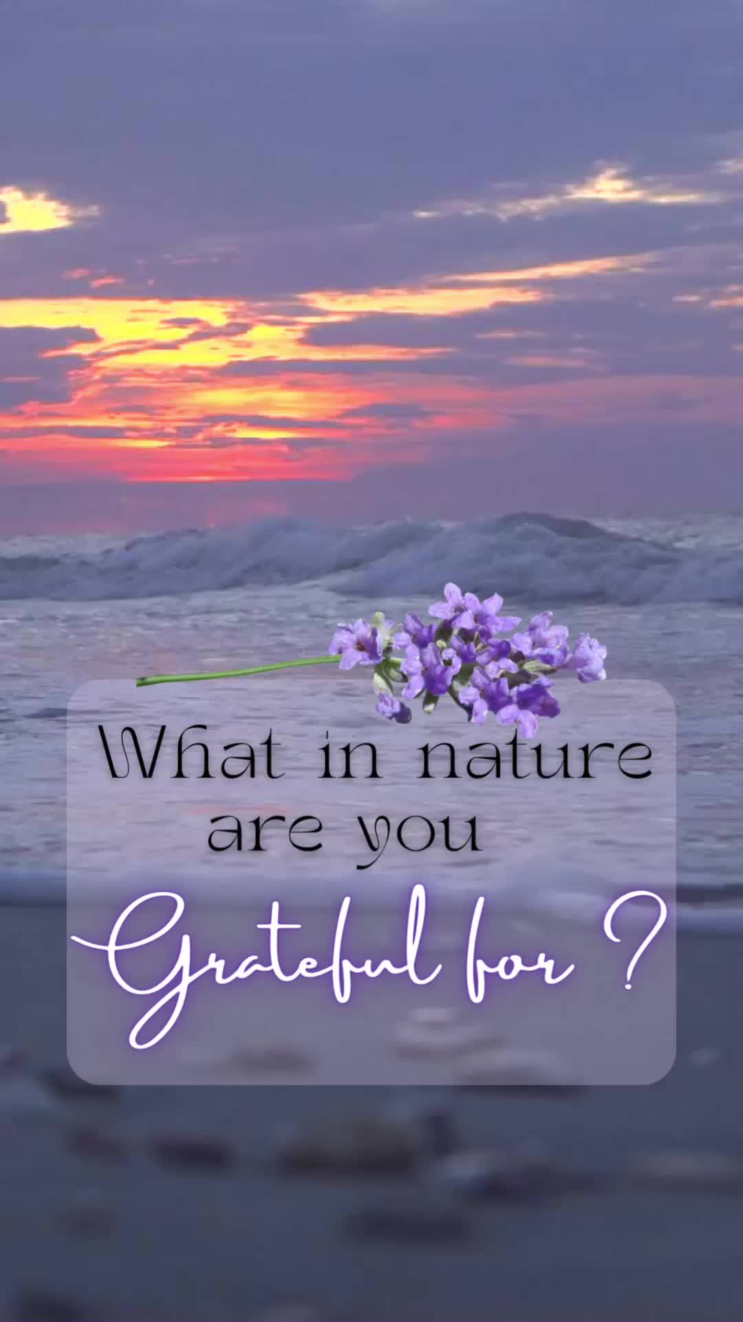 @Gratitude Is The Attitude