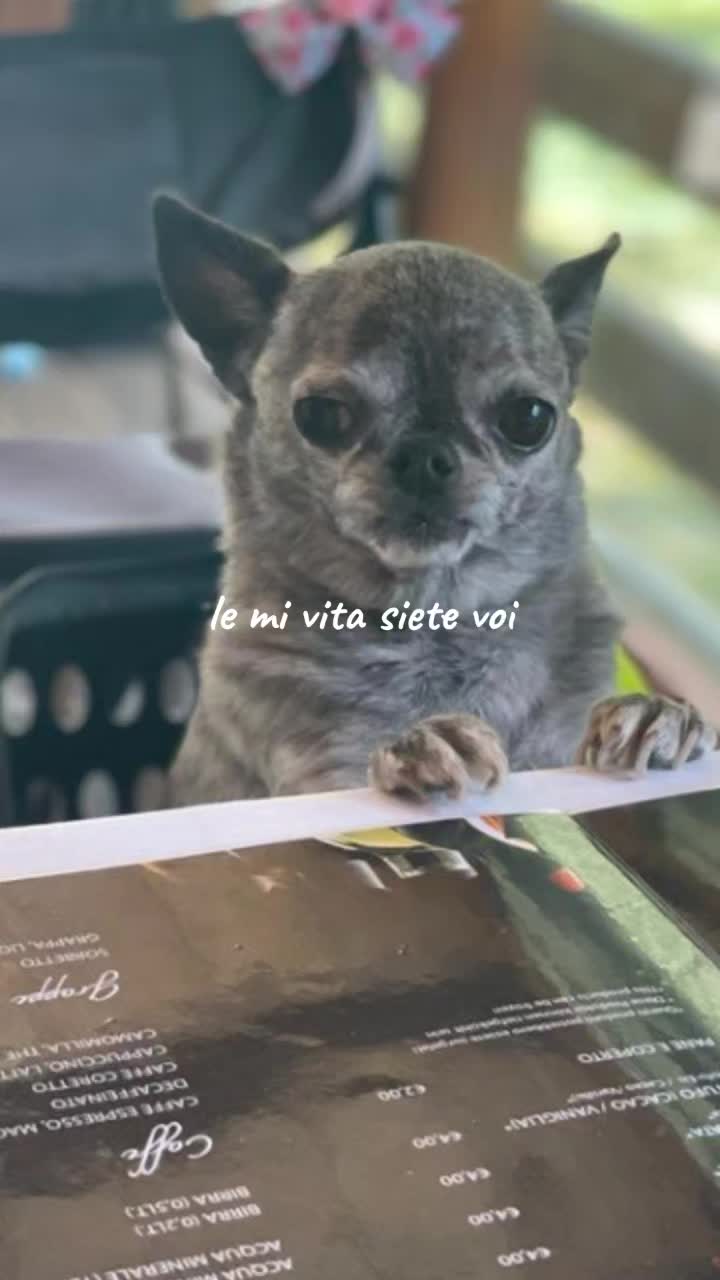 @🐾La coniglietta 2🐾