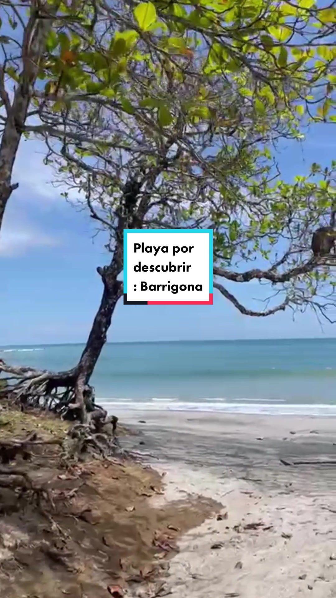 @Oxigenia Costa Rica Tours