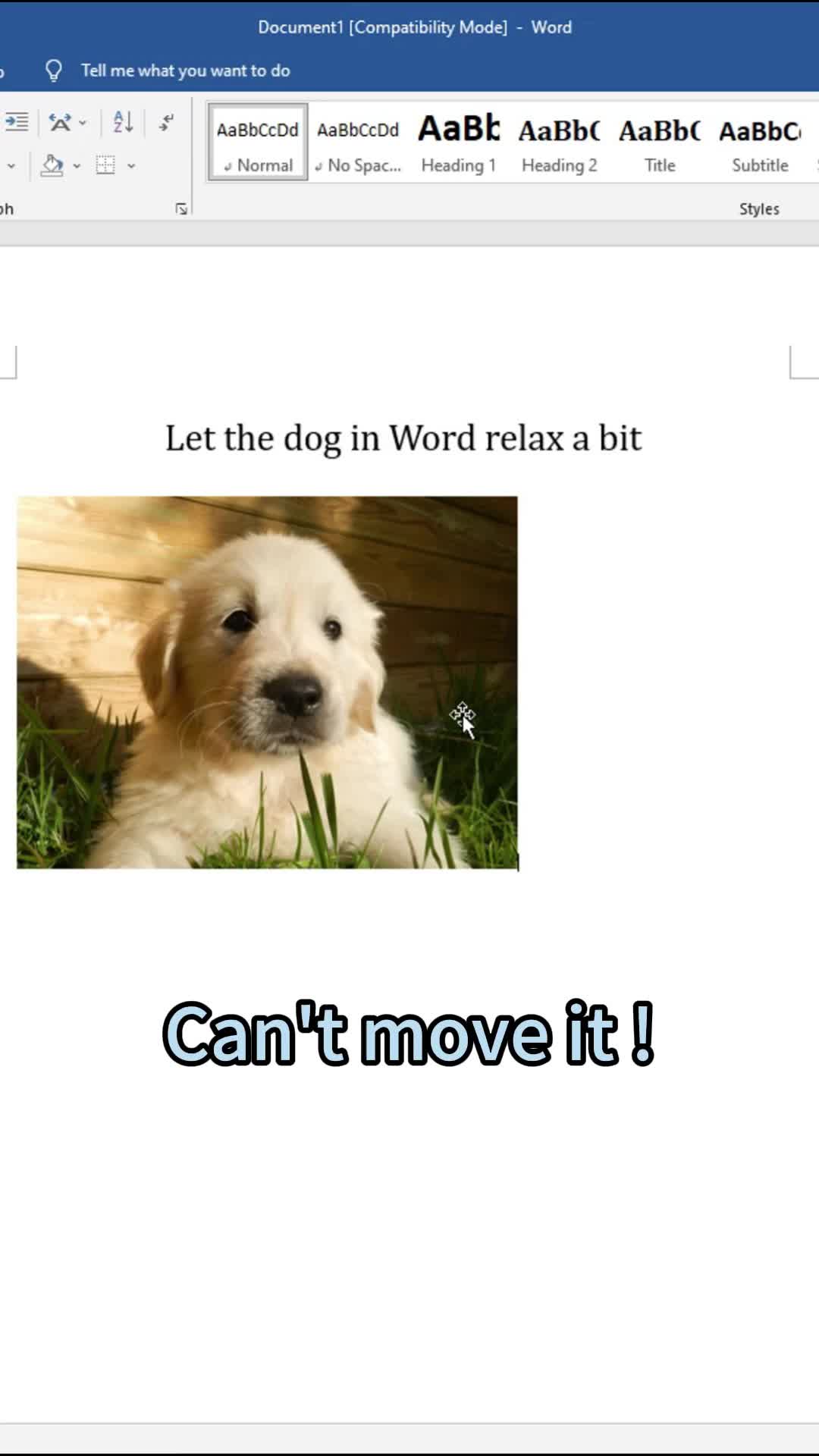 @Word_tips