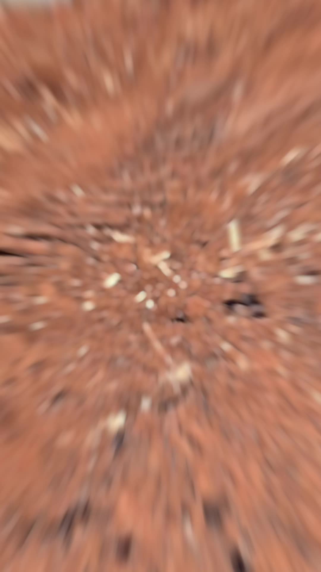 @Ro