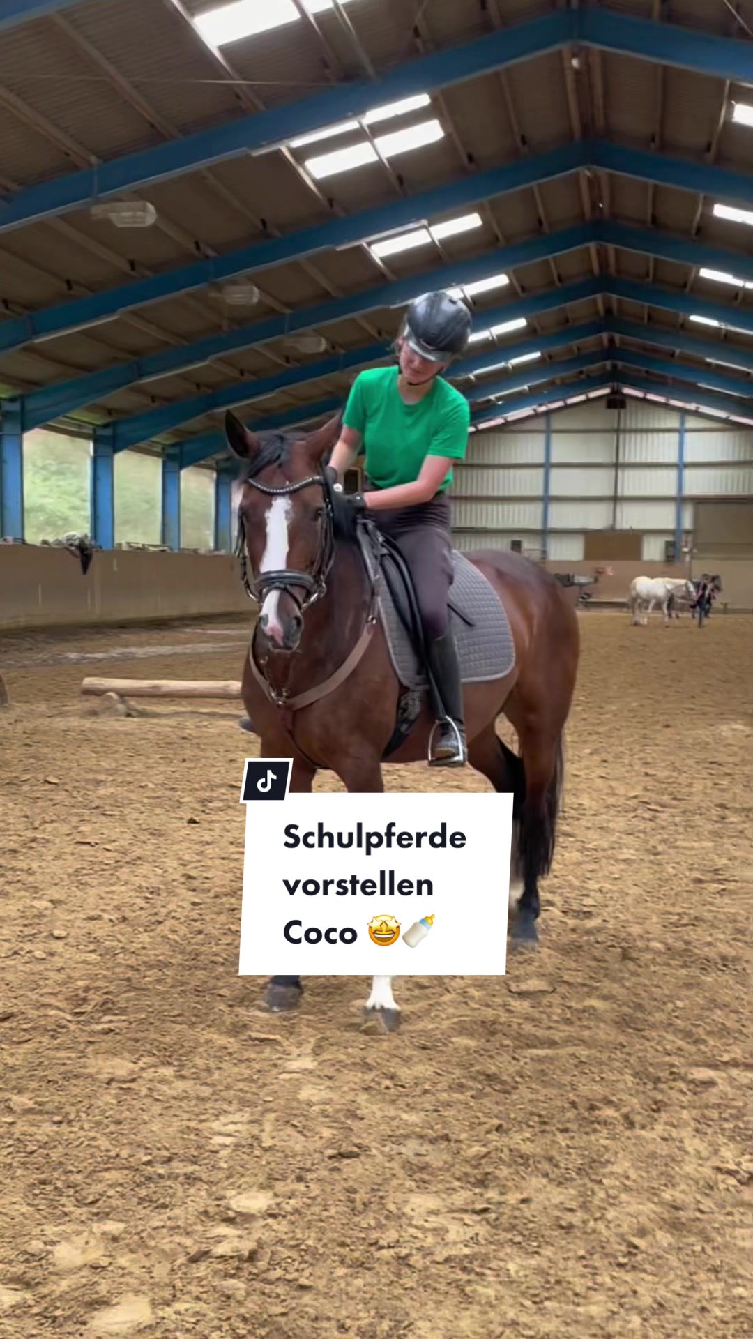 @reiterhofalteheld