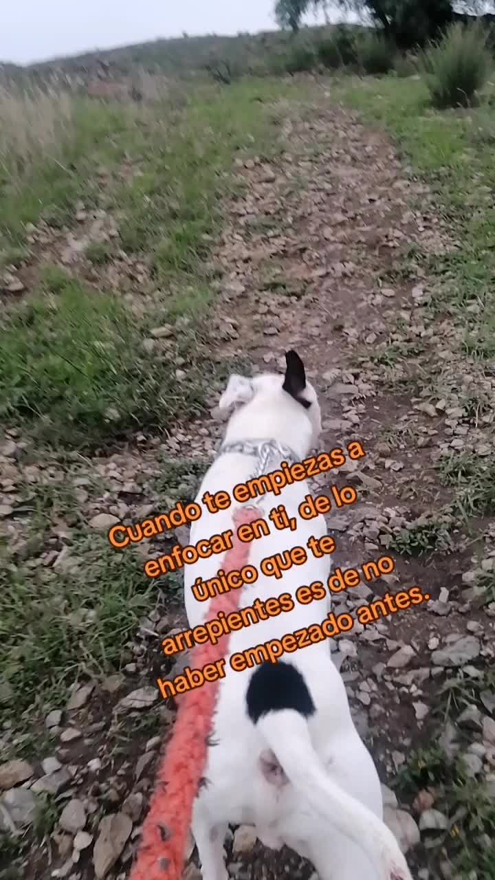 @Severus/Sparky 🐶🐶