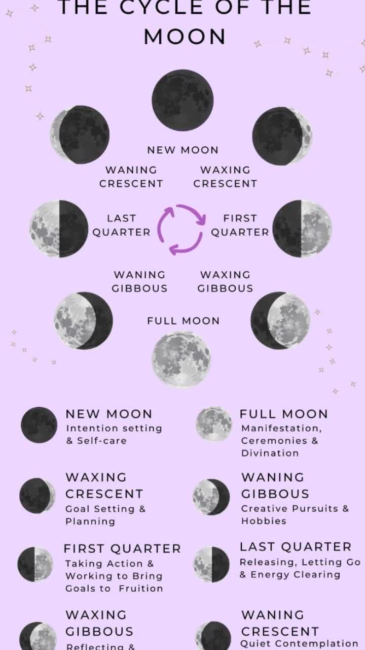 @Bella.Holistic.Mental.Behavior