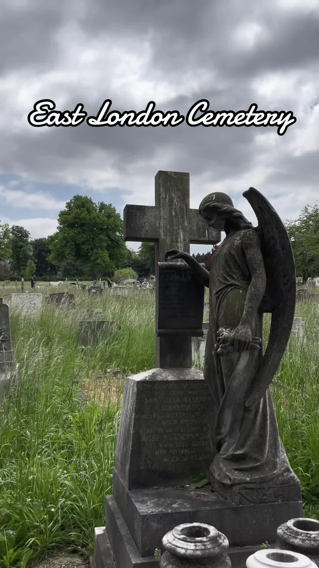 @𝕶𝖎𝖙𝖙𝖞